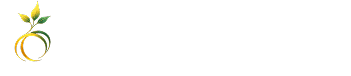 AI Tool: Seedream