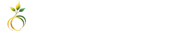 Seedream